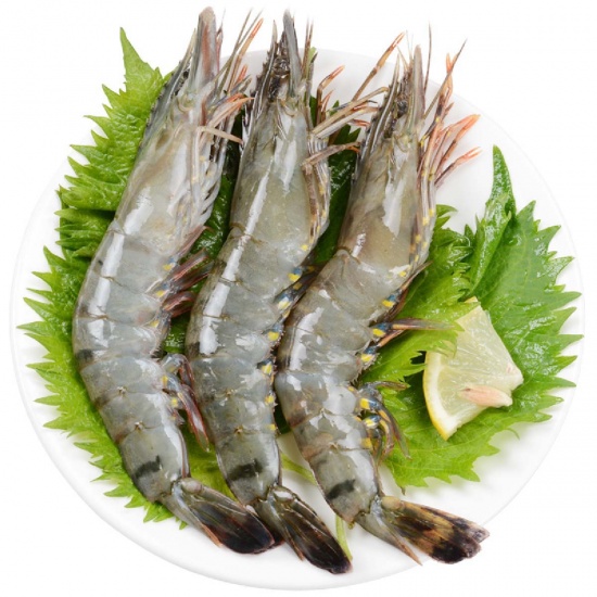 Tôm sú