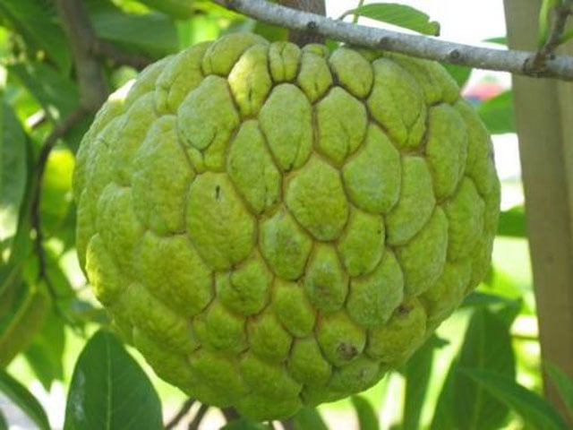 image product