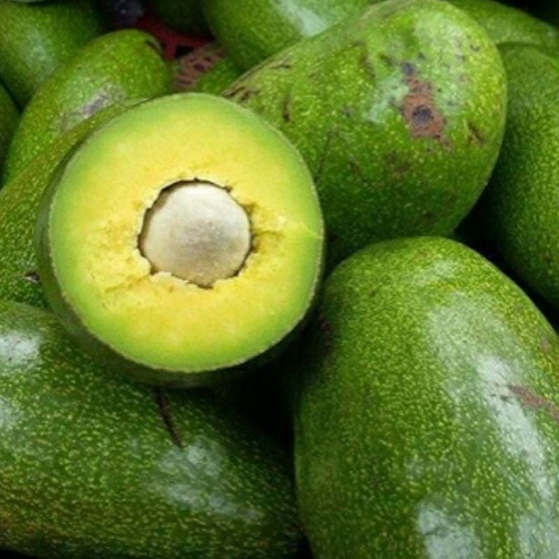 Bơ